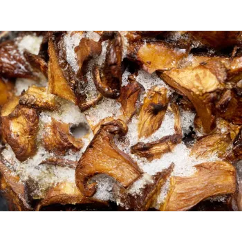 Frozen Mushrum (41)-1304174-66564.webp